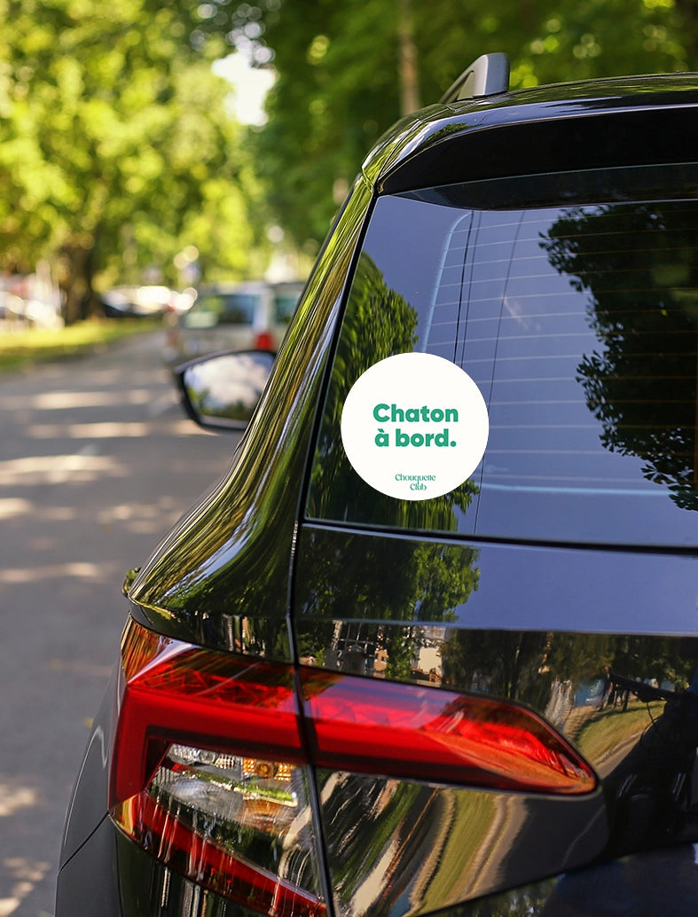 Sticker « Chaton à bord » vert et écru sur une voiture