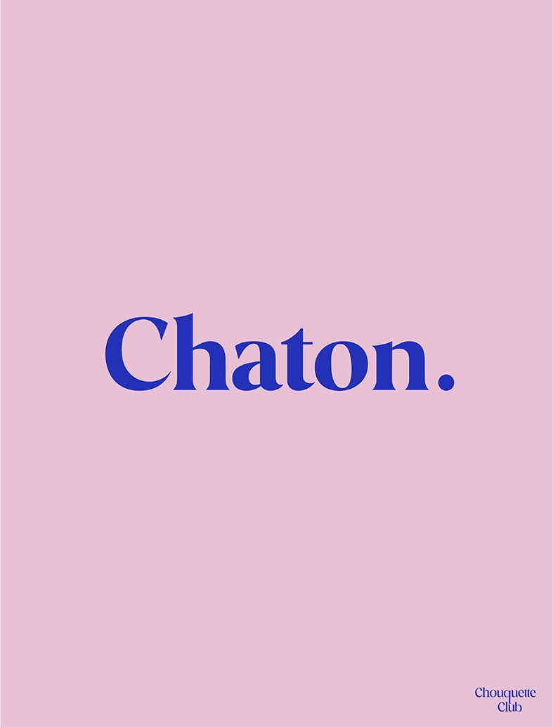 affiche chaton rose et bleu