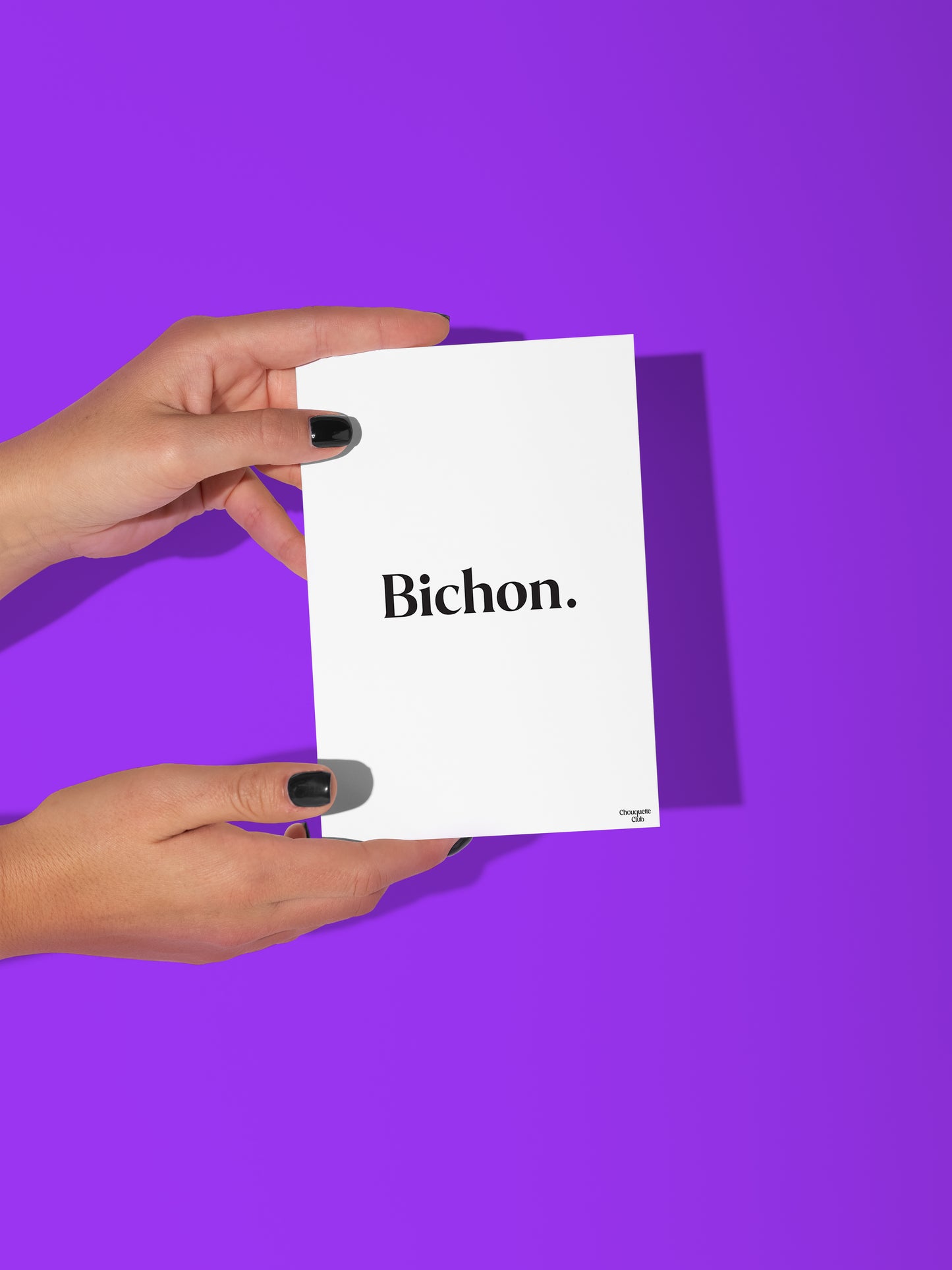 Carte postale Bichon