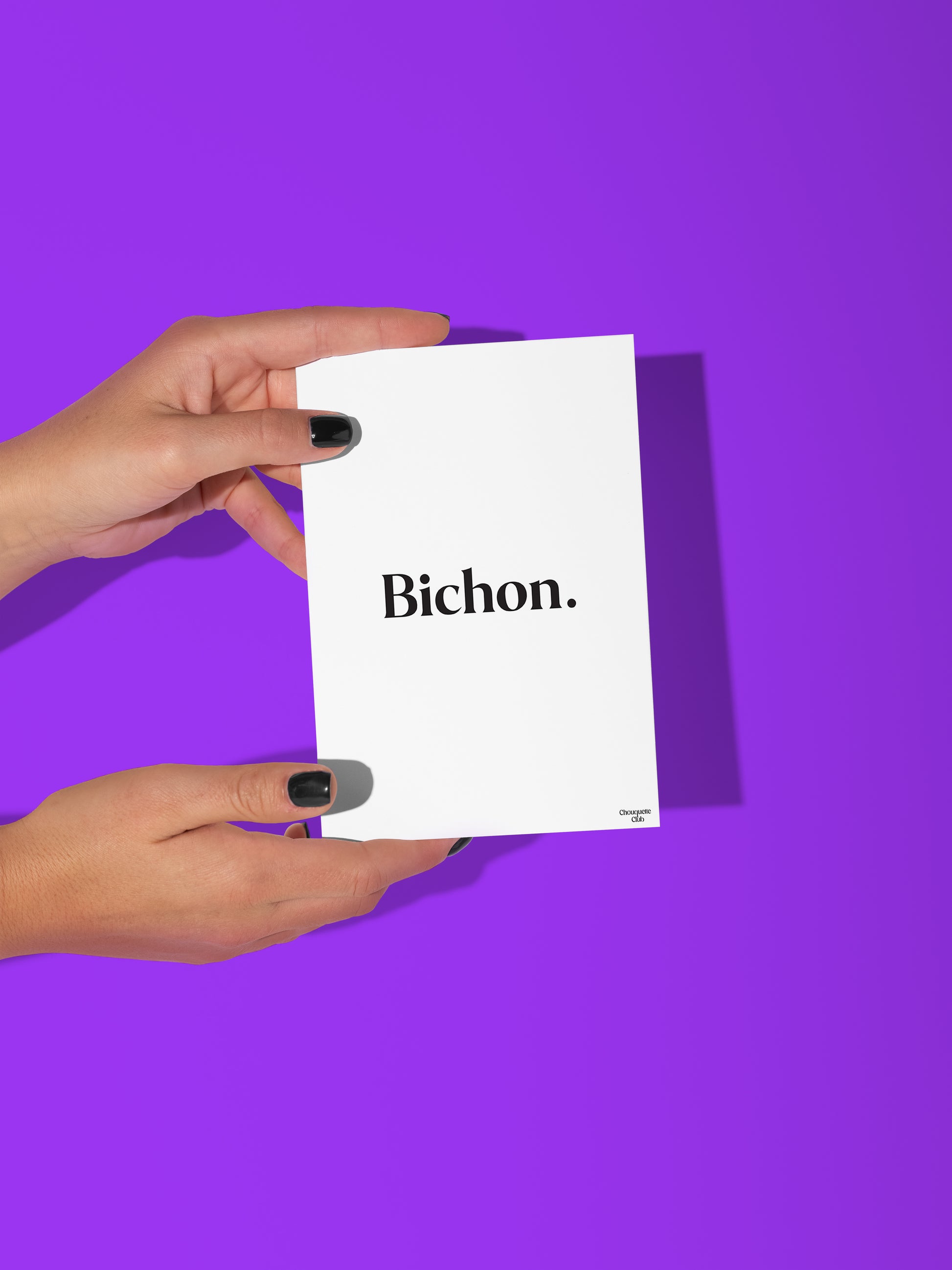 Carte postale Bichon